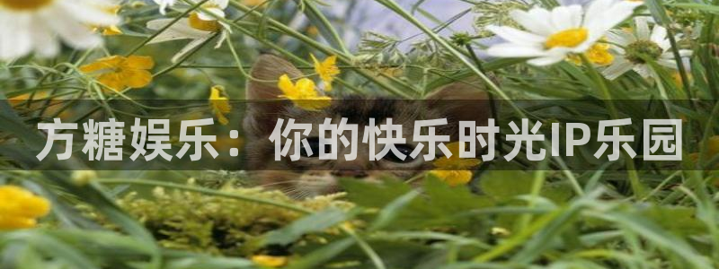 恒盛娱乐登录：方糖娱乐：你的快乐时光IP乐园