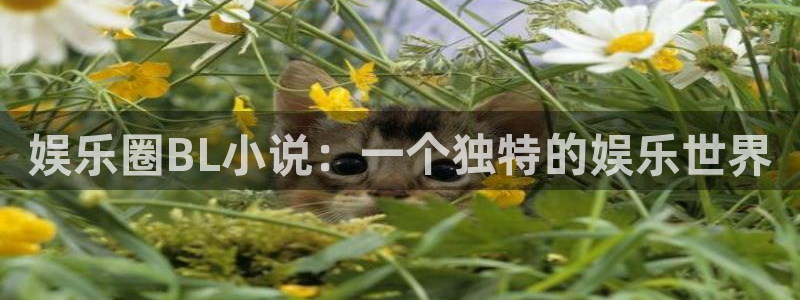 恒盛娱乐下载：娱乐圈BL小说：一个独特的娱乐世界