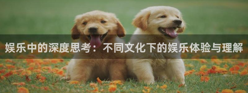 恒盛娱乐登陆：娱乐中的深度思考：不同文化下的娱乐体验与理解