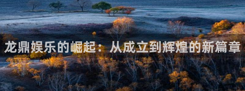 恒盛娱乐登陆：龙鼎娱乐的崛起：从成立到辉煌的新篇章