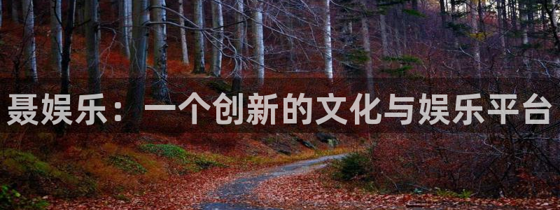 恒盛娱乐登陆：聂娱乐：一个创新的文化与娱乐平台