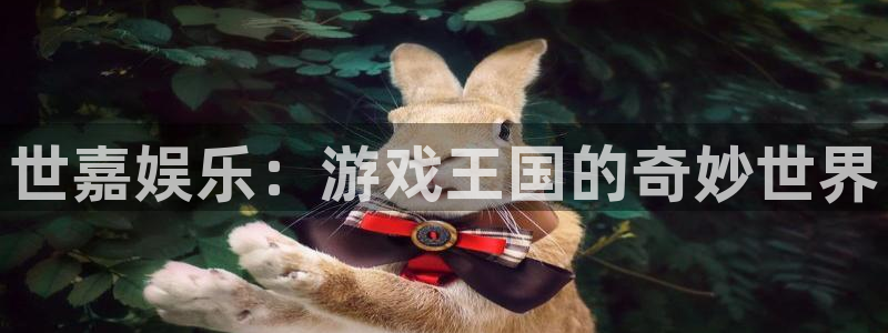恒盛娱乐：世嘉娱乐：游戏王国的奇妙世界