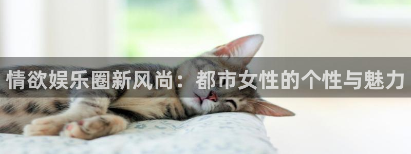 恒盛娱乐下载：情欲娱乐圈新风尚：都市女性的个性与魅力