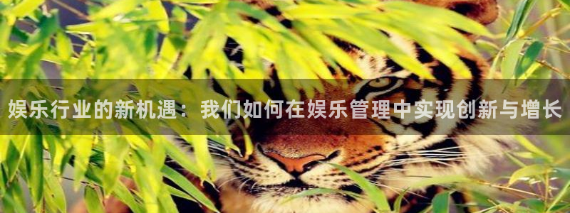 恒盛娱乐登录：娱乐行业的新机遇：我们如何在娱乐管理中实现创新与增长