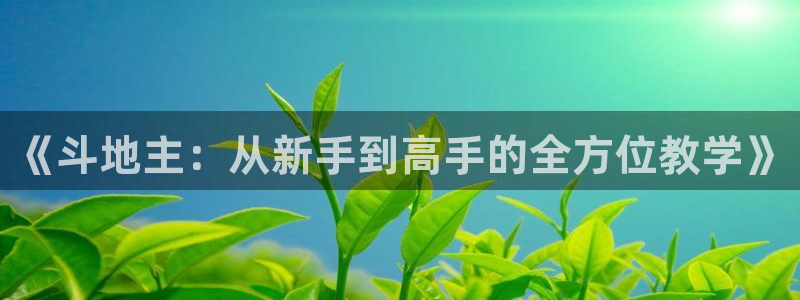 恒盛娱乐：《斗地主：从新手到高手的全方位教学》