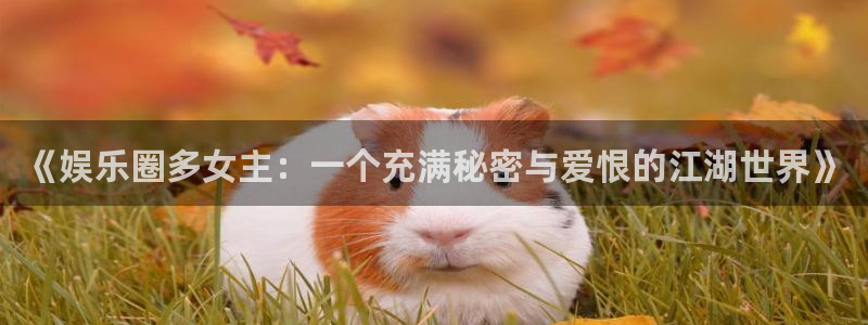 恒盛娱乐官网：《娱乐圈多女主：一个充满秘密与爱恨的江湖世界》